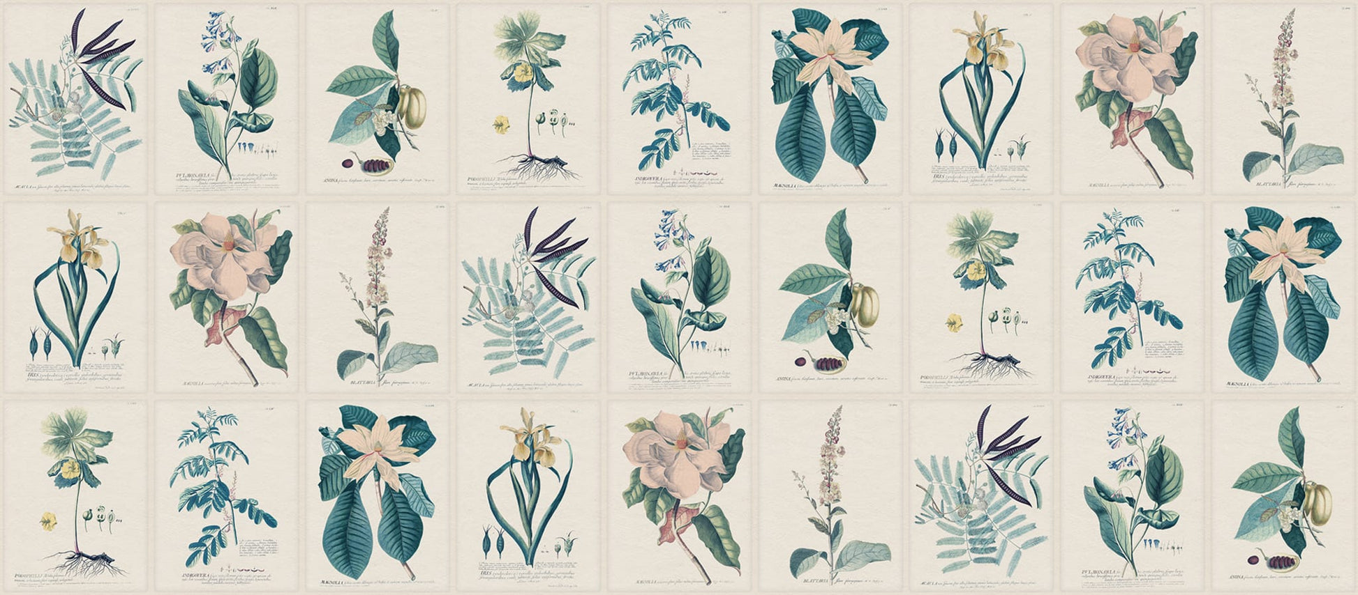 Sandberg Wallpaper pattern name & color Flora, Blue from the collection Herbarium. 