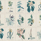 Sandberg Wallpaper Pattern S10589 pattern name & color Flora, Blue from the collection Herbarium. 