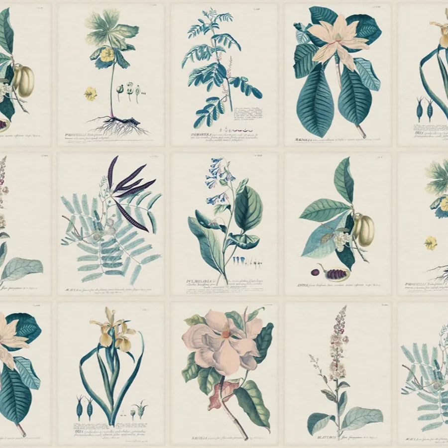 Sandberg Wallpaper Pattern S10589 pattern name & color Flora, Blue from the collection Herbarium. 