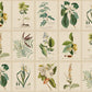 Sandberg Wallpaper pattern name & color Flora, Green from the collection Herbarium. 