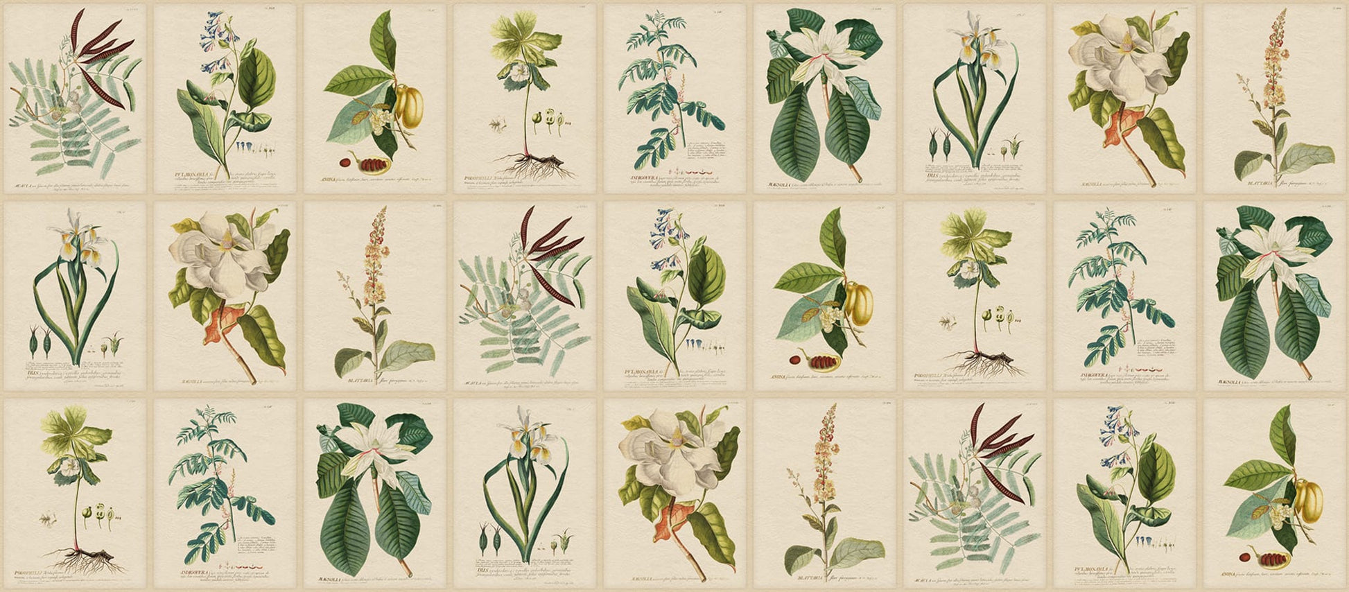 Sandberg Wallpaper pattern name & color Flora, Green from the collection Herbarium. 
