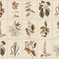 Sandberg Wallpaper pattern name & color Flora, Sepia from the collection Herbarium. 