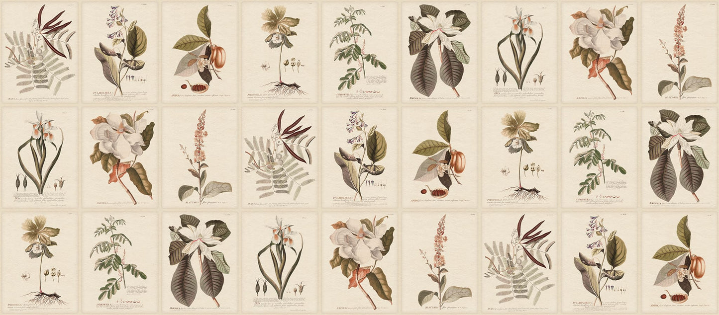 Sandberg Wallpaper pattern name & color Flora, Sepia from the collection Herbarium. 