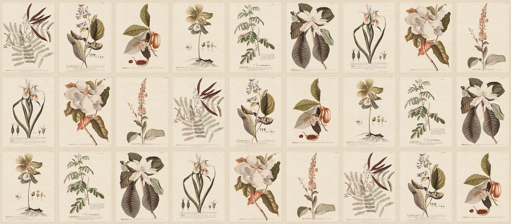 Sandberg Wallpaper pattern name & color Flora, Sepia from the collection Herbarium. 