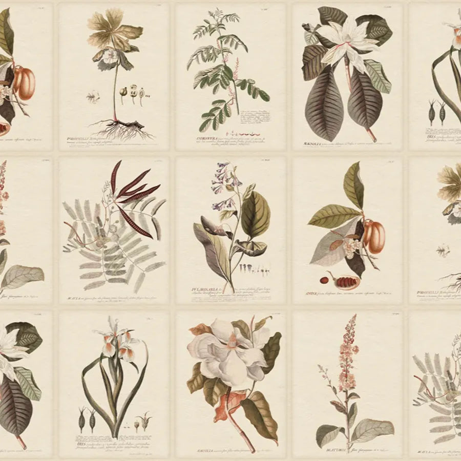 Sandberg Wallpaper SKU# S10599 pattern name & color Flora, Sepia from the collection Herbarium. 