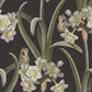 Sandberg Wallpaper pattern name & color Lilian, Charcoal from the collection Herbarium. 