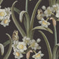Sandberg Wallpaper Product S10600 pattern name & color Lilian, Charcoal from the collection Herbarium. 