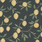 Find Sandberg Wallpaper Pattern number S10668 pattern name & color Limone, Charcoal