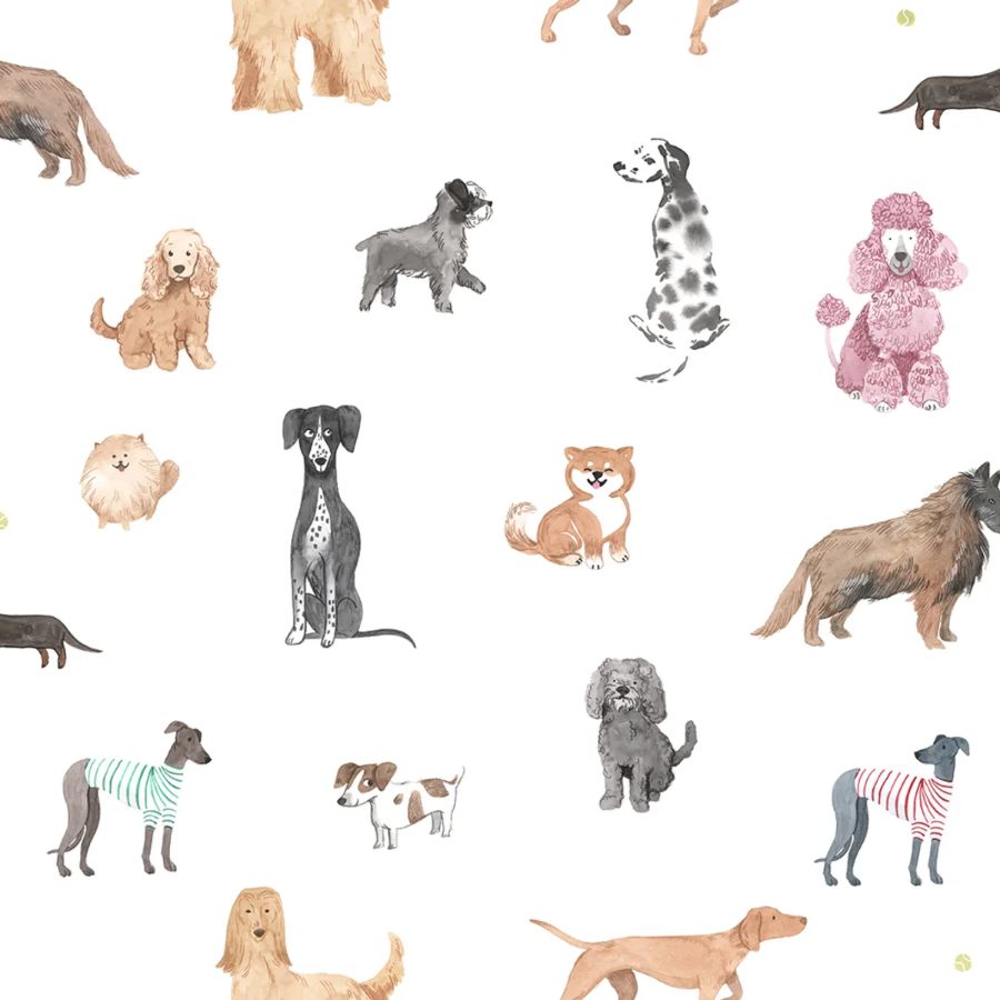 Find Sandberg Mural Pattern# S10704 pattern name & color Taiga And Friends, White