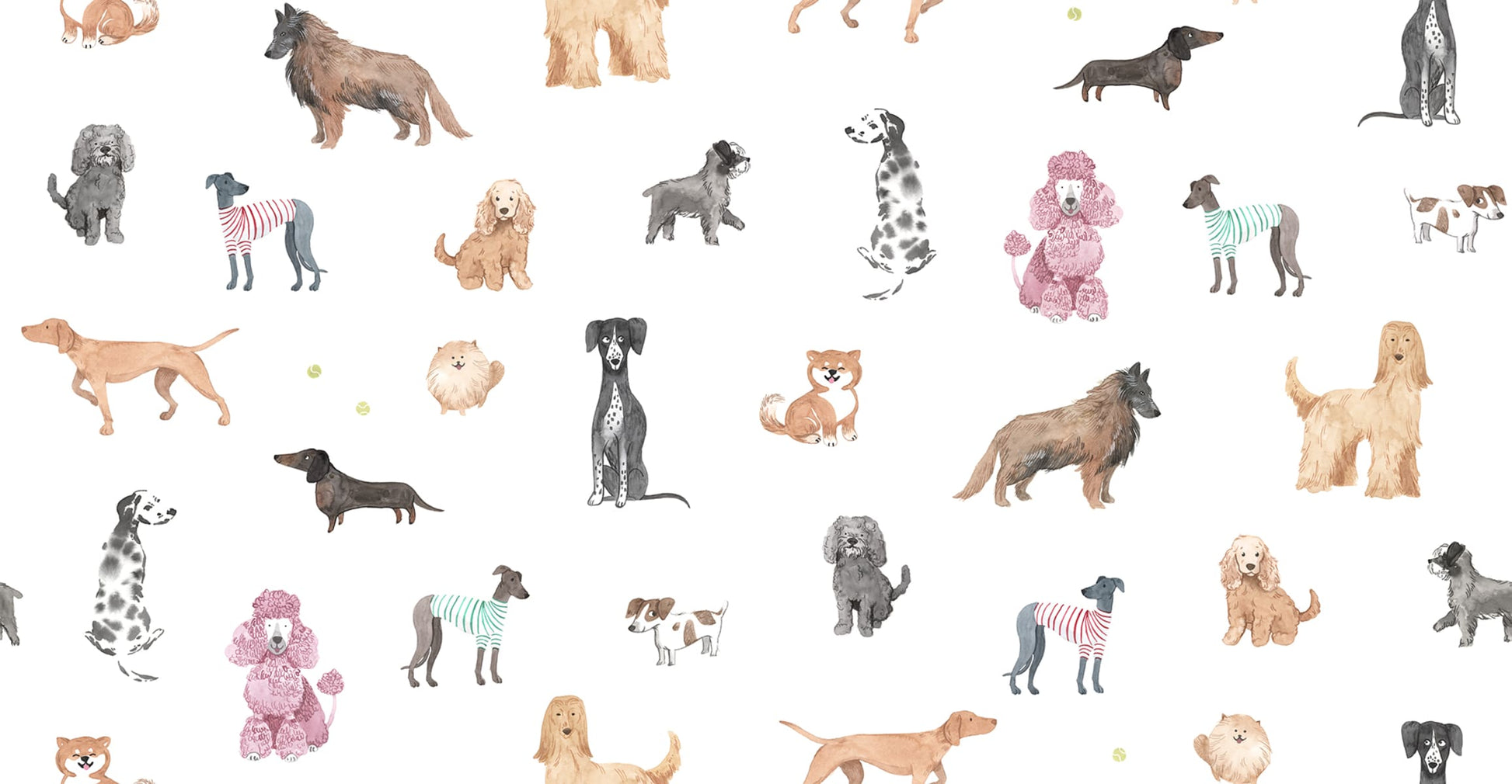 Find Sandberg Mural Pattern# S10704 pattern name & color Taiga And Friends, White. 