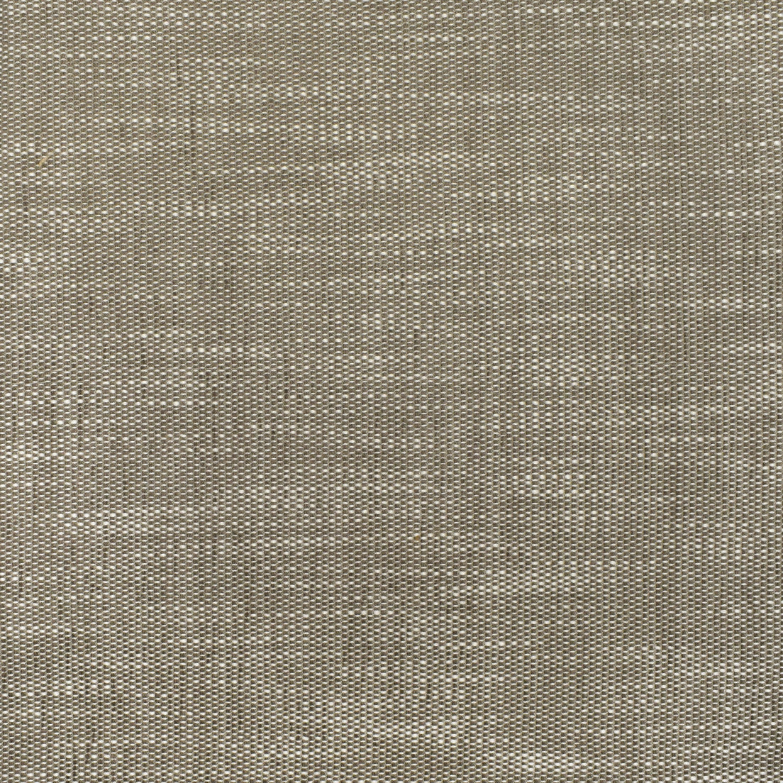 Purchase Greenhouse Fabric S3723 Fossil