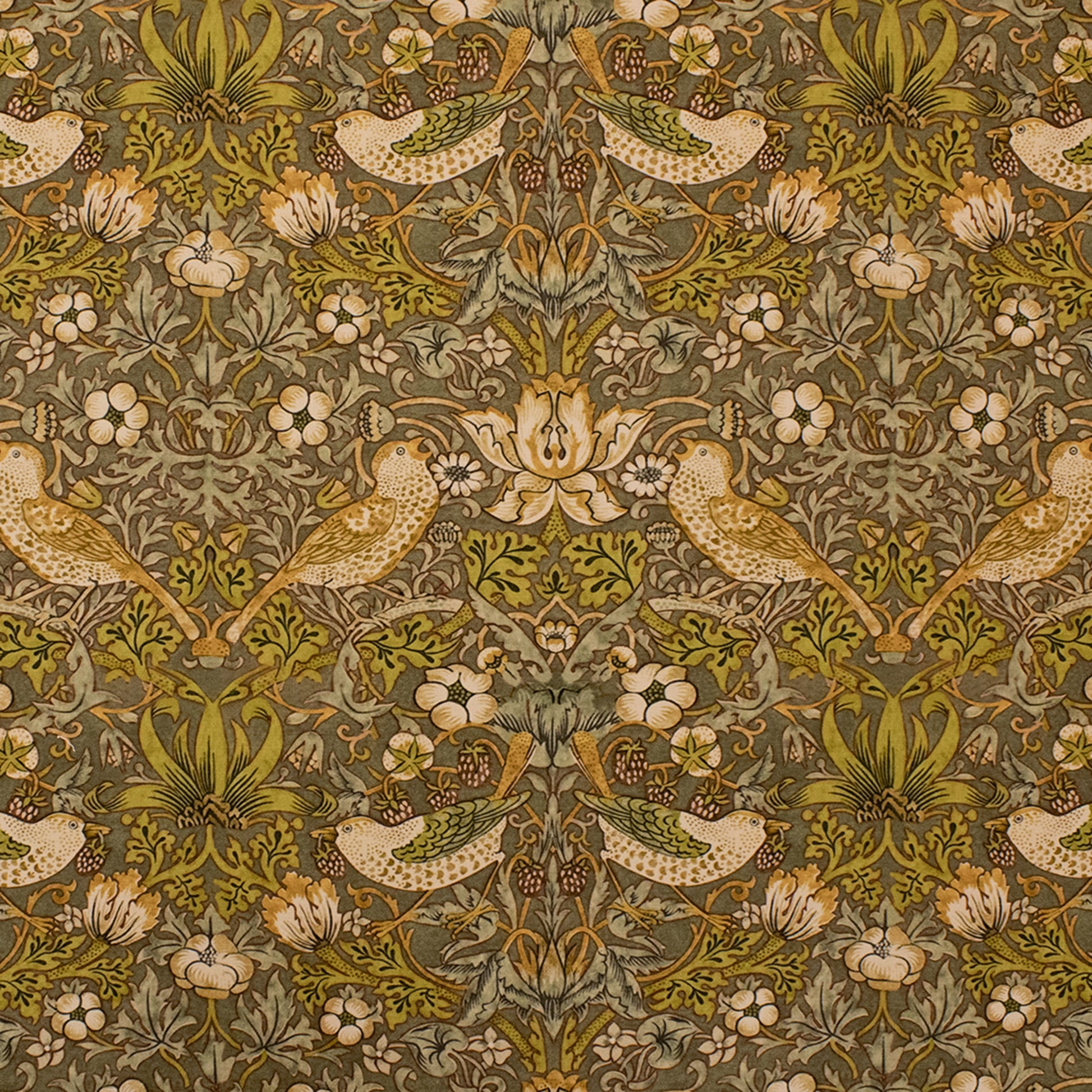 Purchase Greenhouse Fabric S6397 Sage