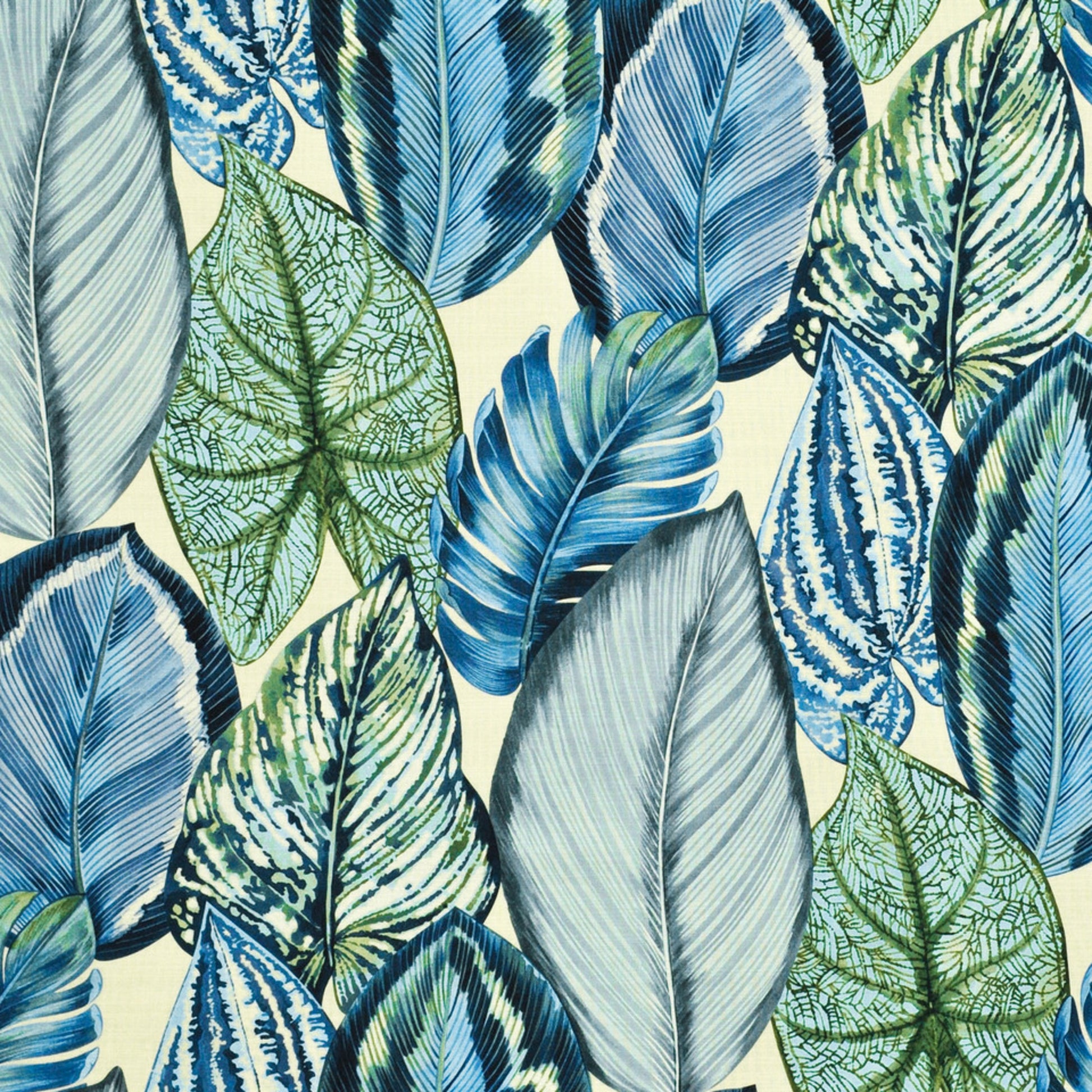 Purchase Greenhouse Fabric S6416 Aster