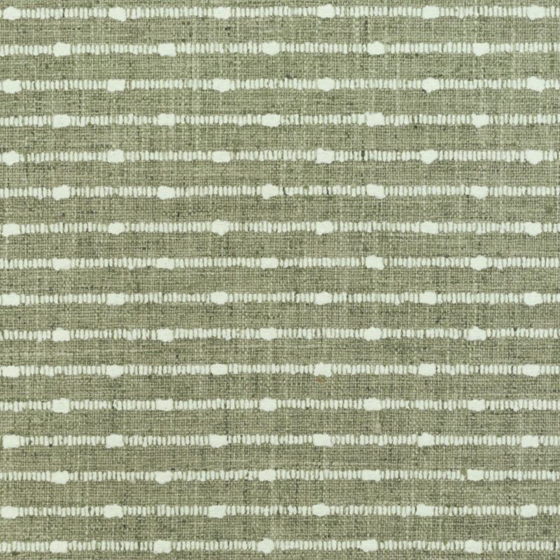 Purchase Greenhouse Fabric S6610 Cilantro