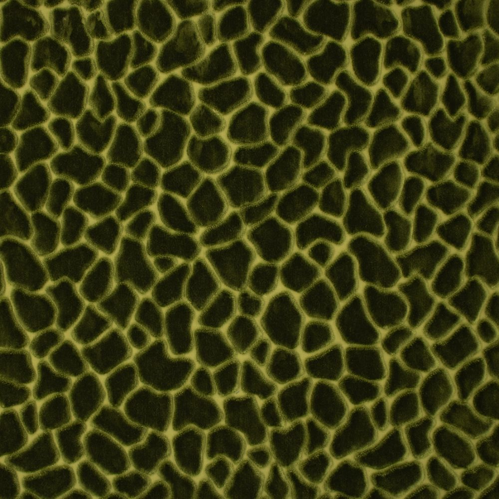 Purchase Greenhouse Fabric S6756 Forest