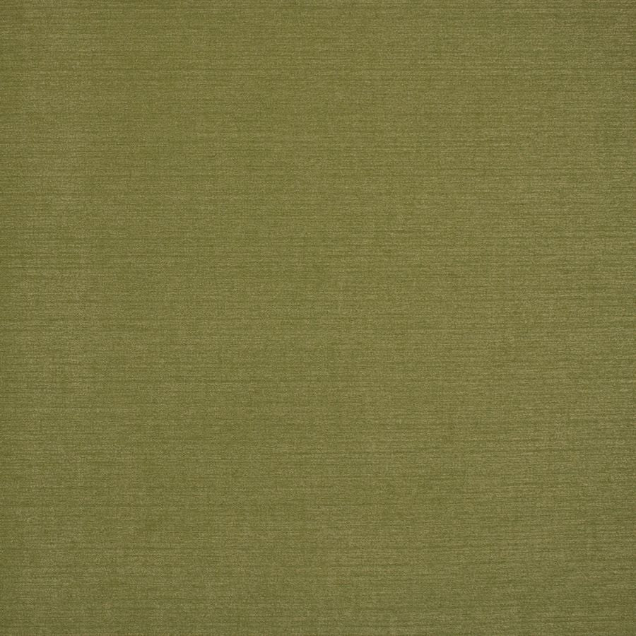 Purchase Greenhouse Fabric S6911 Moss