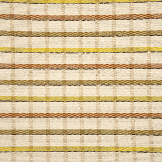 Purchase Greenhouse Fabric S7775 Citron