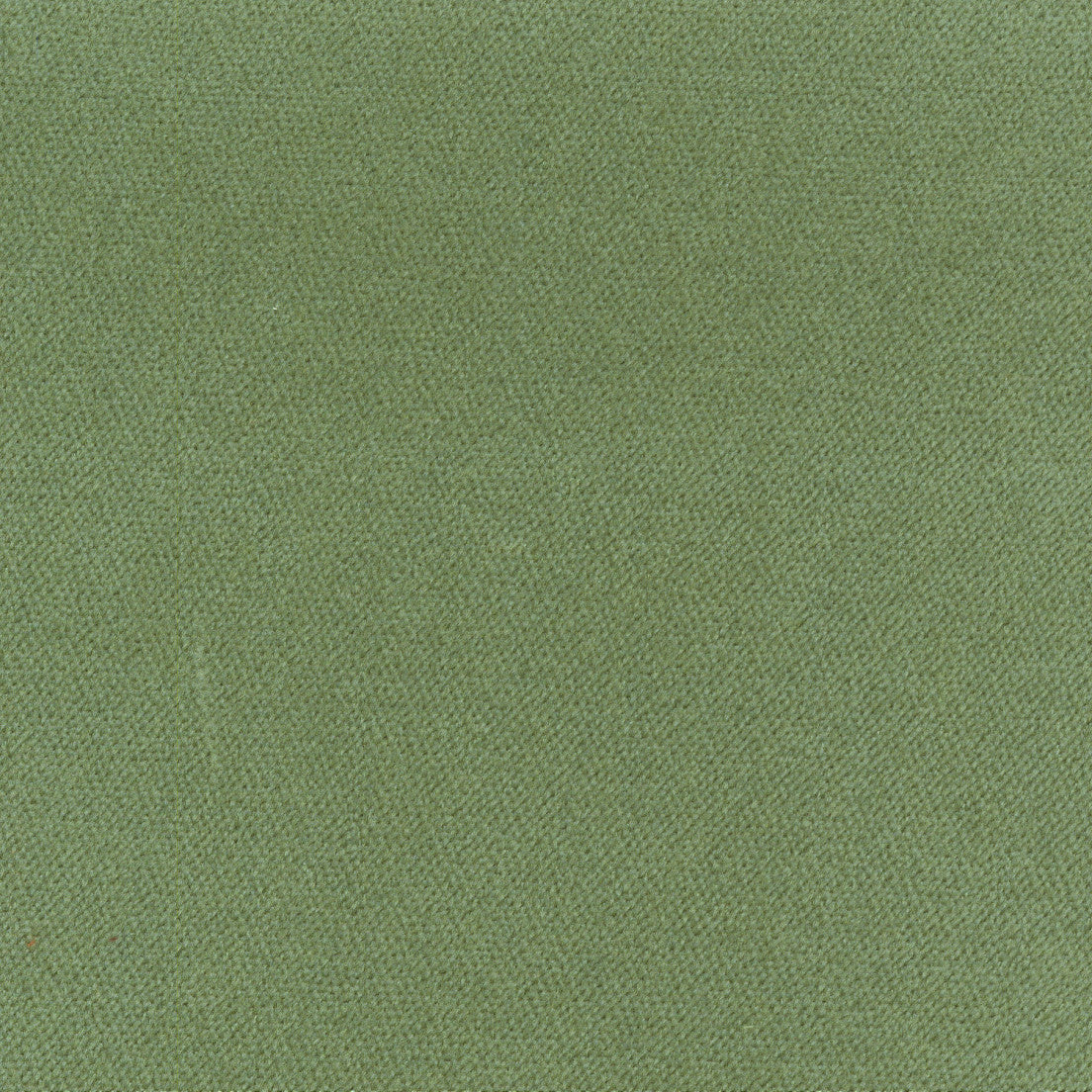 Purchase Greenhouse Fabric S7806 Meadow