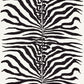 Purchase Scalamandre Fabric Item SC 000116366M, Zebra Black 1