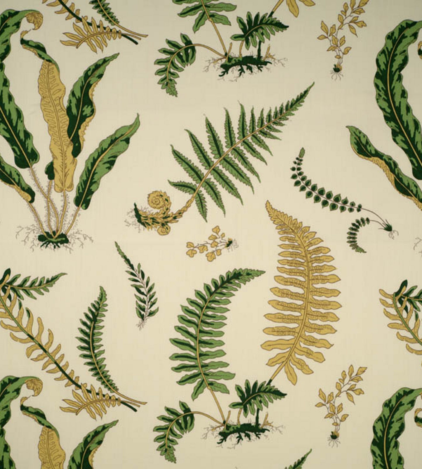 Purchase Scalamandre Fabric Pattern# SC 000116425, Elsie De Wolfe - Outdoor Greens On Off-White 1