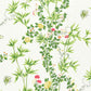 Purchase Scalamandre Fabric SKU SC 000116608, Jardin De Chine Spring 1