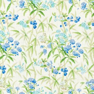 Purchase Scalamandre Fabric Item SC166380001, Lanai | Outdoor Lagoon 1