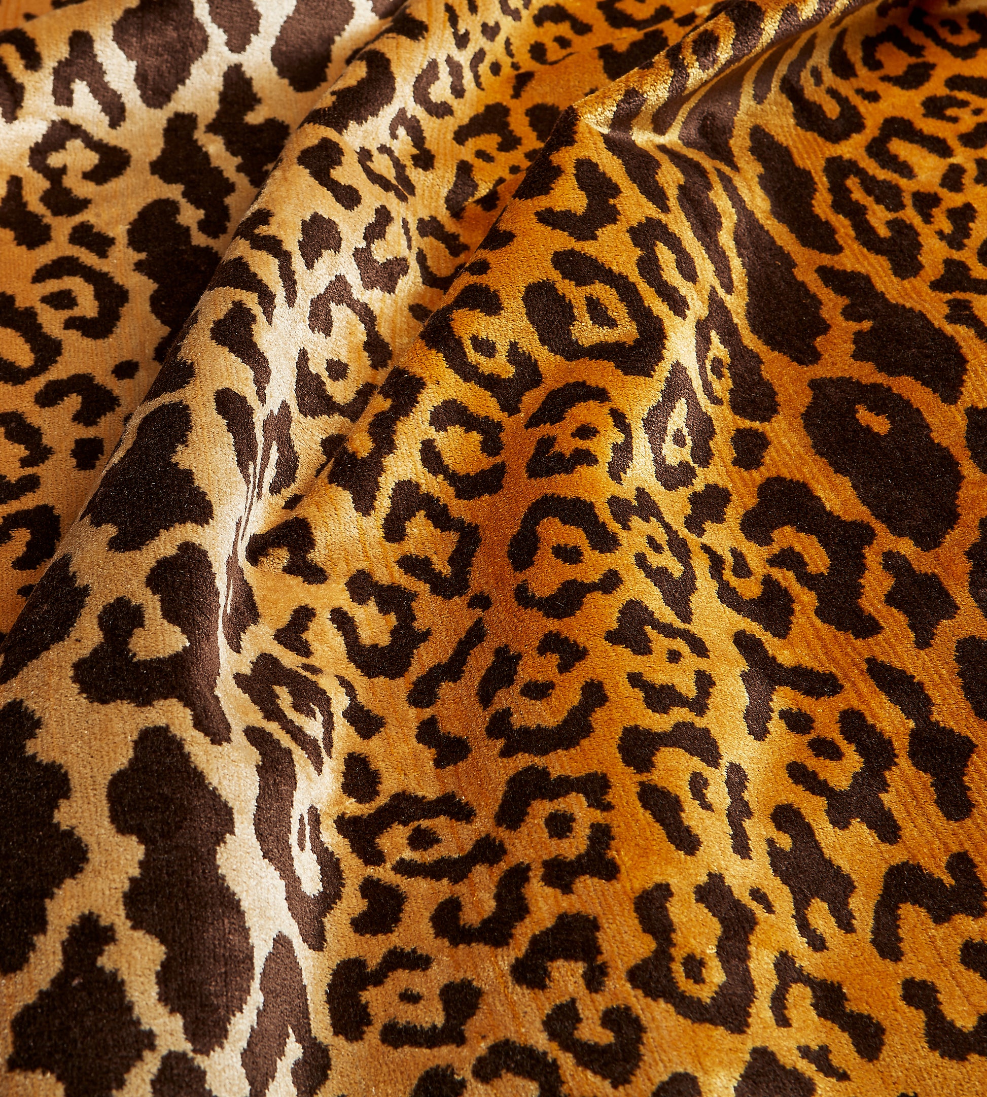 Purchase Scalamandre Fabric Product# SC 000126168MM, Leopardo Ivory, Gold & Black 2