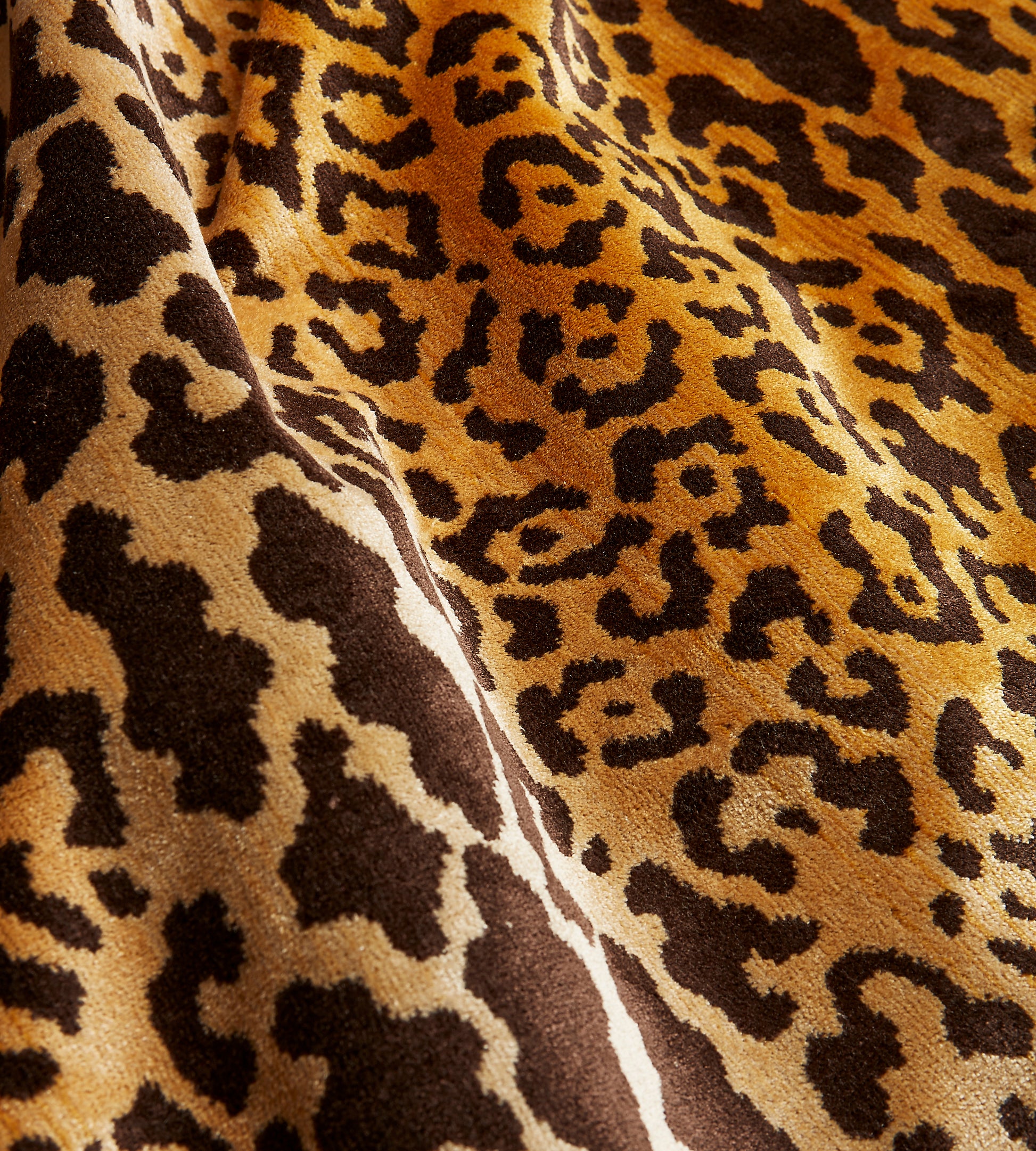 Purchase Scalamandre Fabric Product# SC 000126168MM, Leopardo Ivory, Gold & Black 3