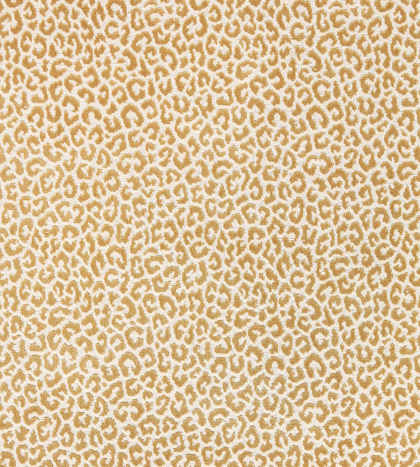 Purchase Scalamandre Fabric Pattern number SC 000127037, Panthera Velvet Camel 2