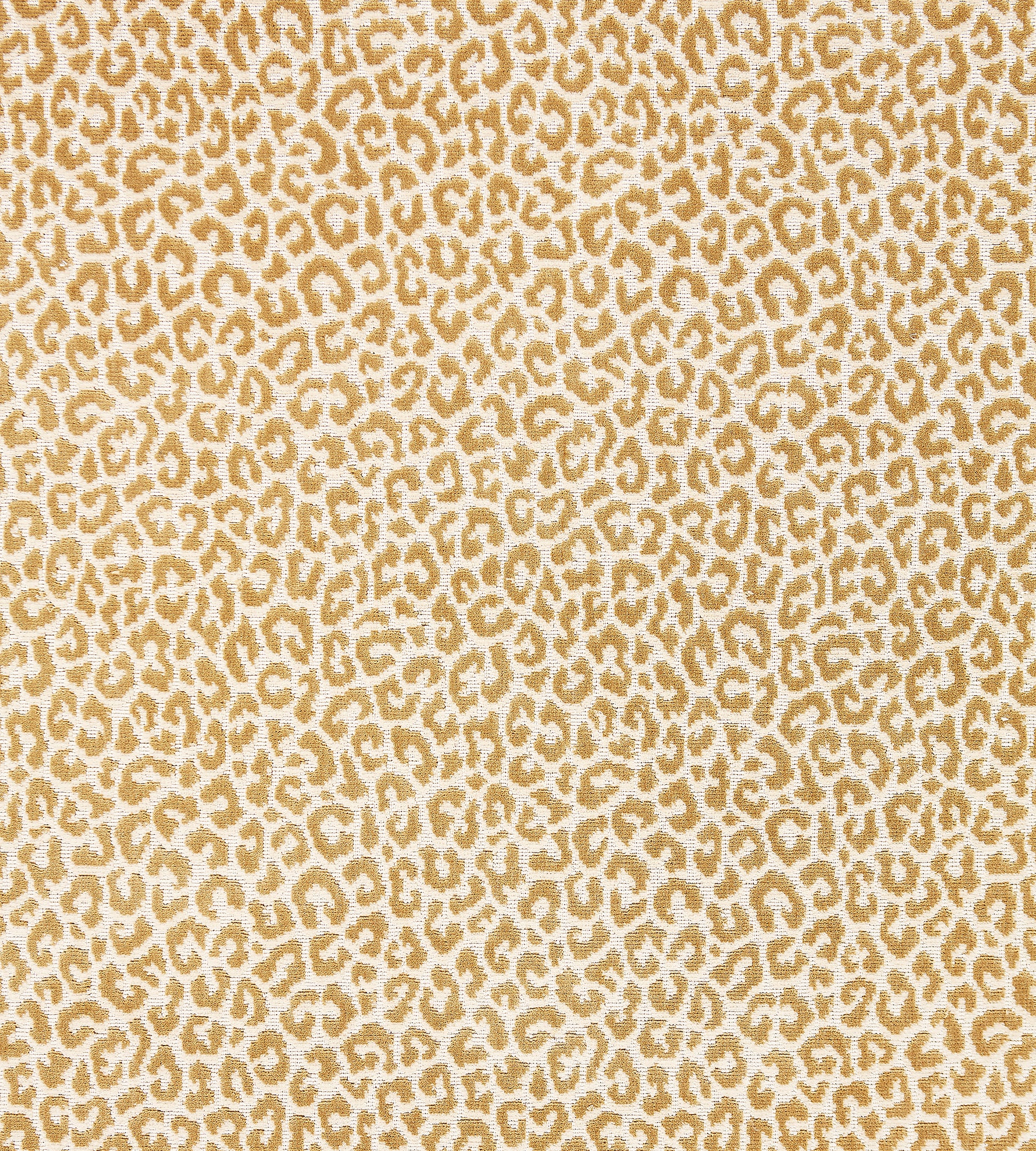 Purchase Scalamandre Fabric Pattern number SC 000127037, Panthera Velvet Camel 2