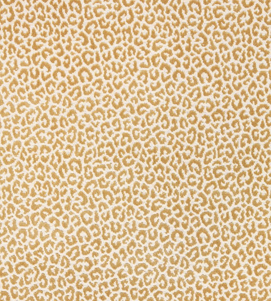 Purchase Scalamandre Fabric Pattern number SC 000127037, Panthera Velvet Camel 2
