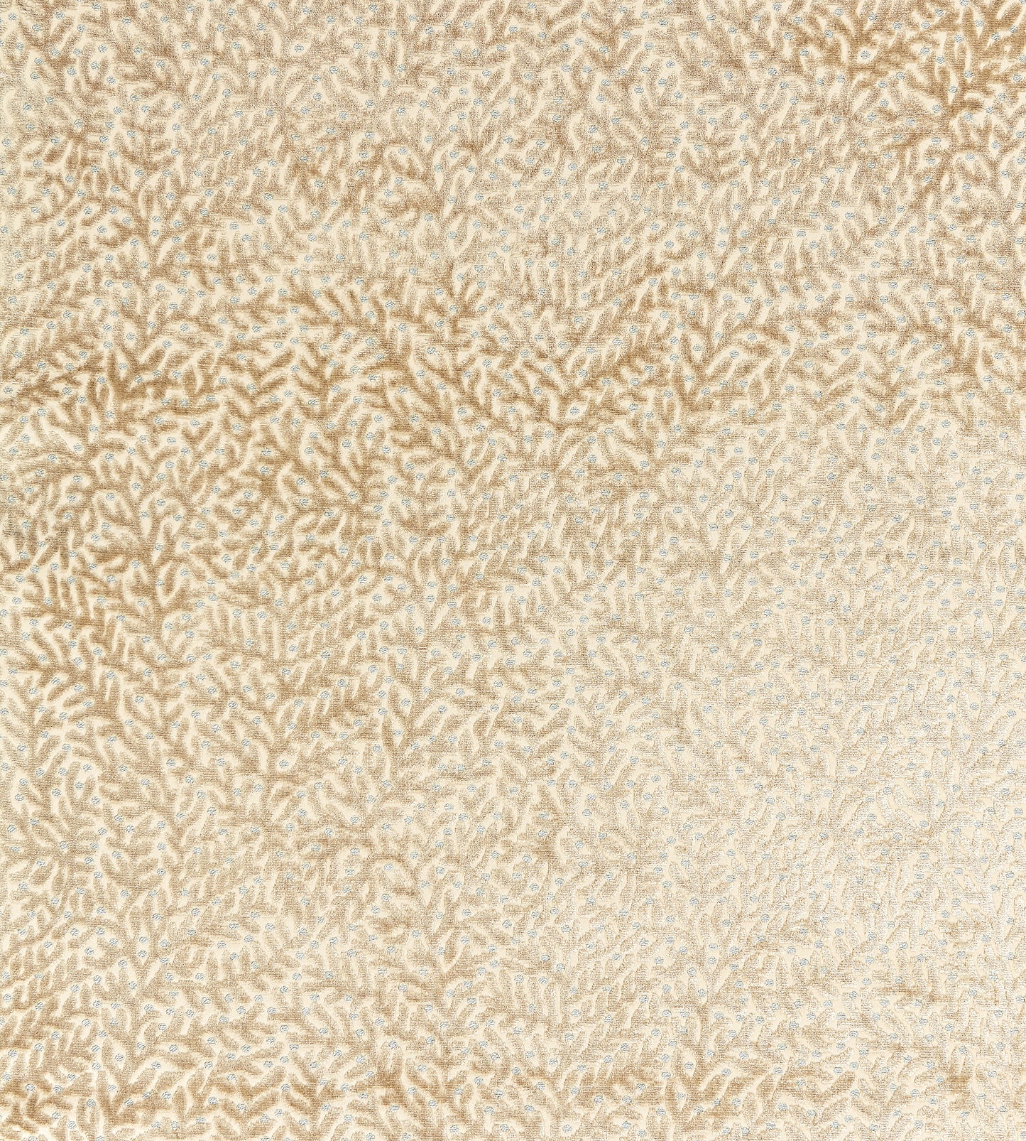 Purchase Scalamandre Fabric Item# SC 000127077, Corallina Velvet Pebble Beach 1