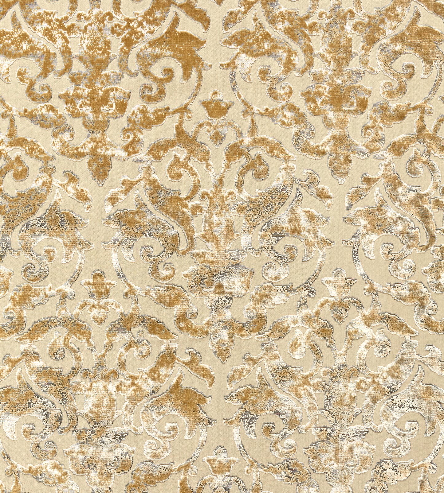 Purchase Scalamandre Fabric Product# SC 000127078, Venezia Silk Velvet Champagne 1