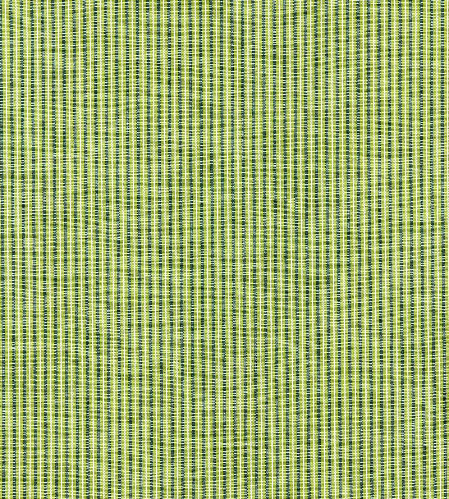 Purchase Scalamandre Fabric Product SC 000127109, Tisbury Stripe Fern 1