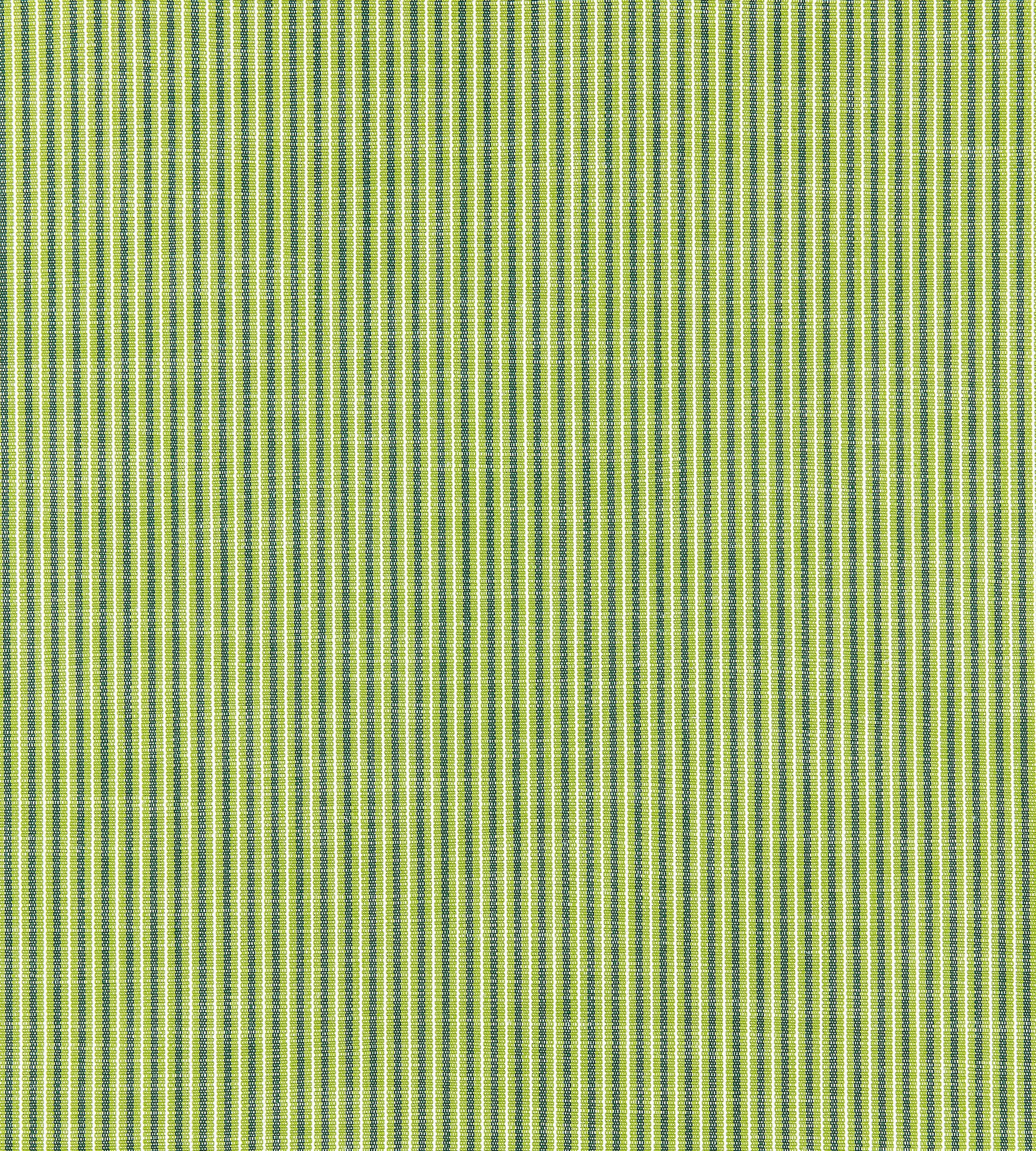 Purchase Scalamandre Fabric Product SC 000127109, Tisbury Stripe Fern 1