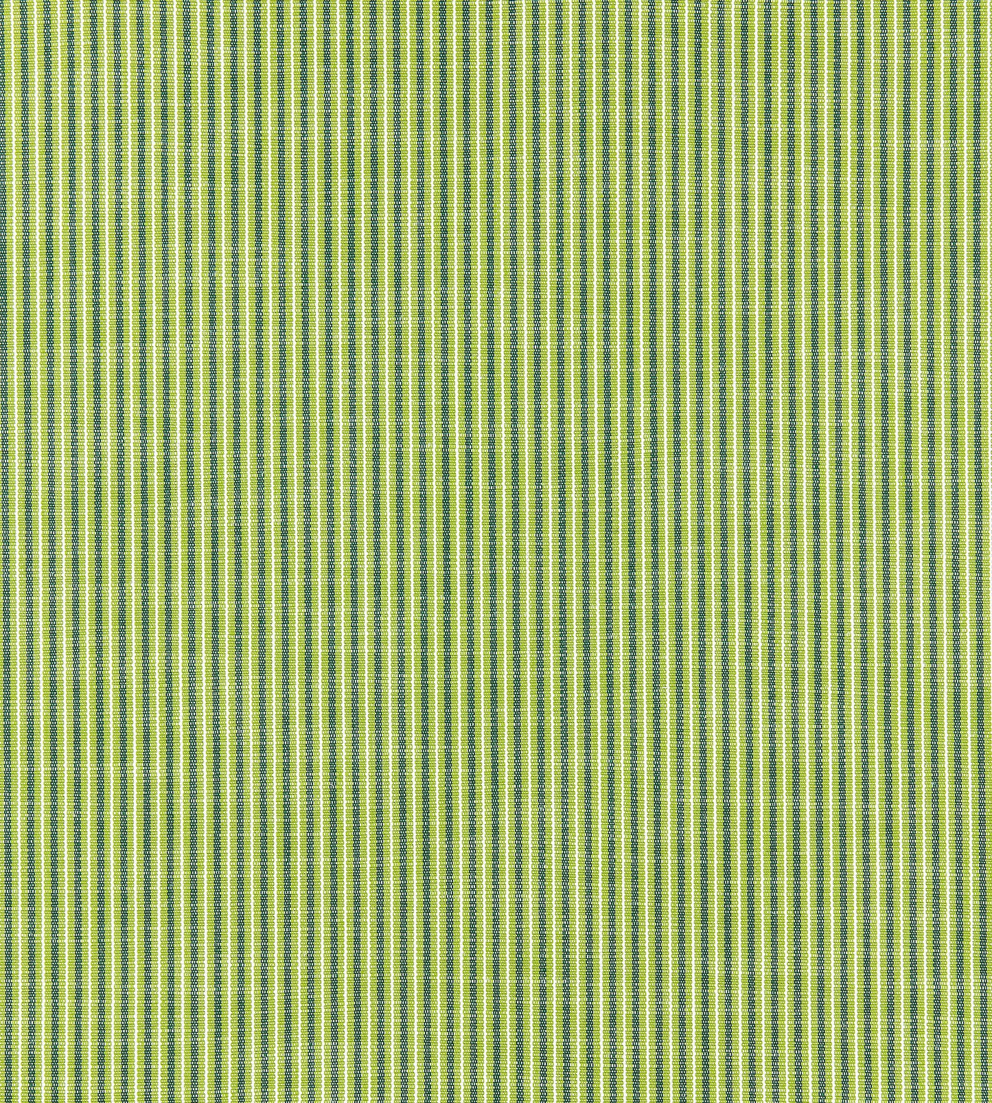 Purchase Scalamandre Fabric Product SC 000127109, Tisbury Stripe Fern 1