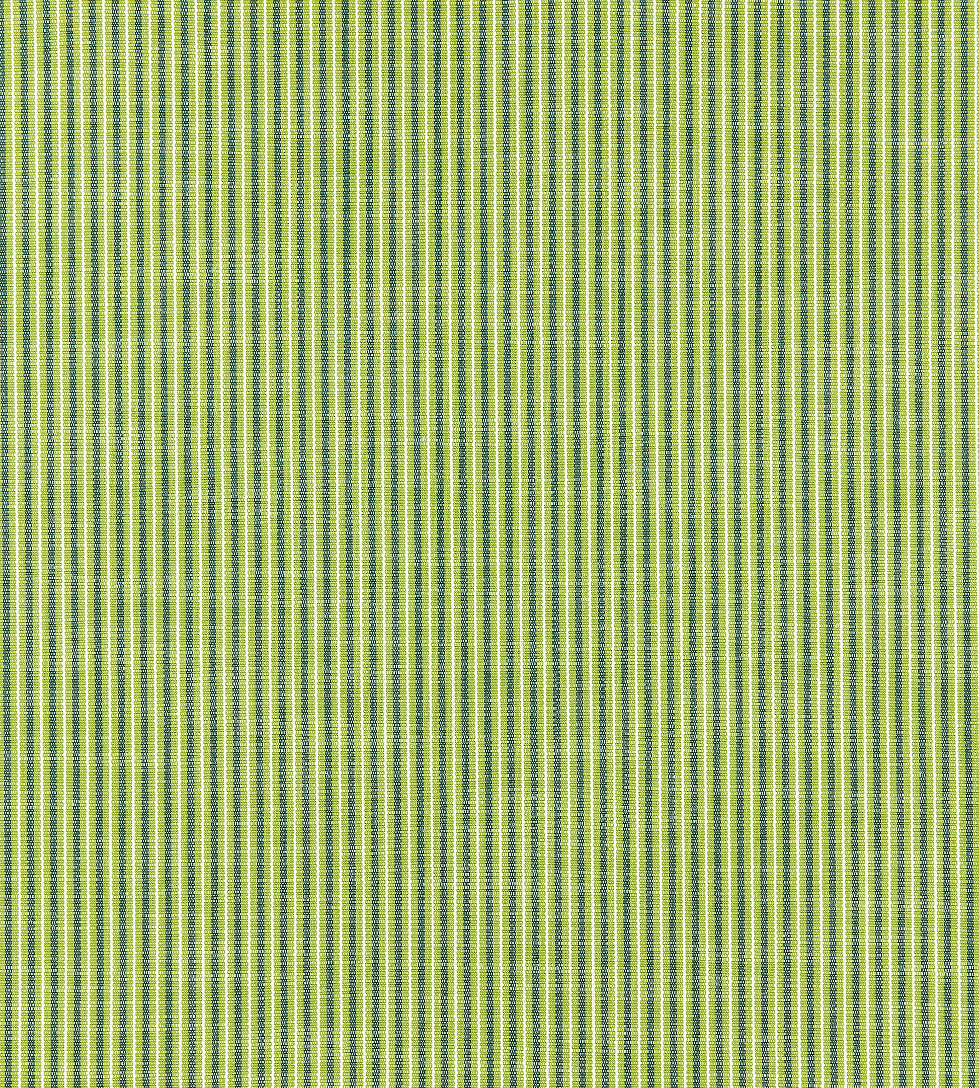 Purchase Scalamandre Fabric Product SC 000127109, Tisbury Stripe Fern 1