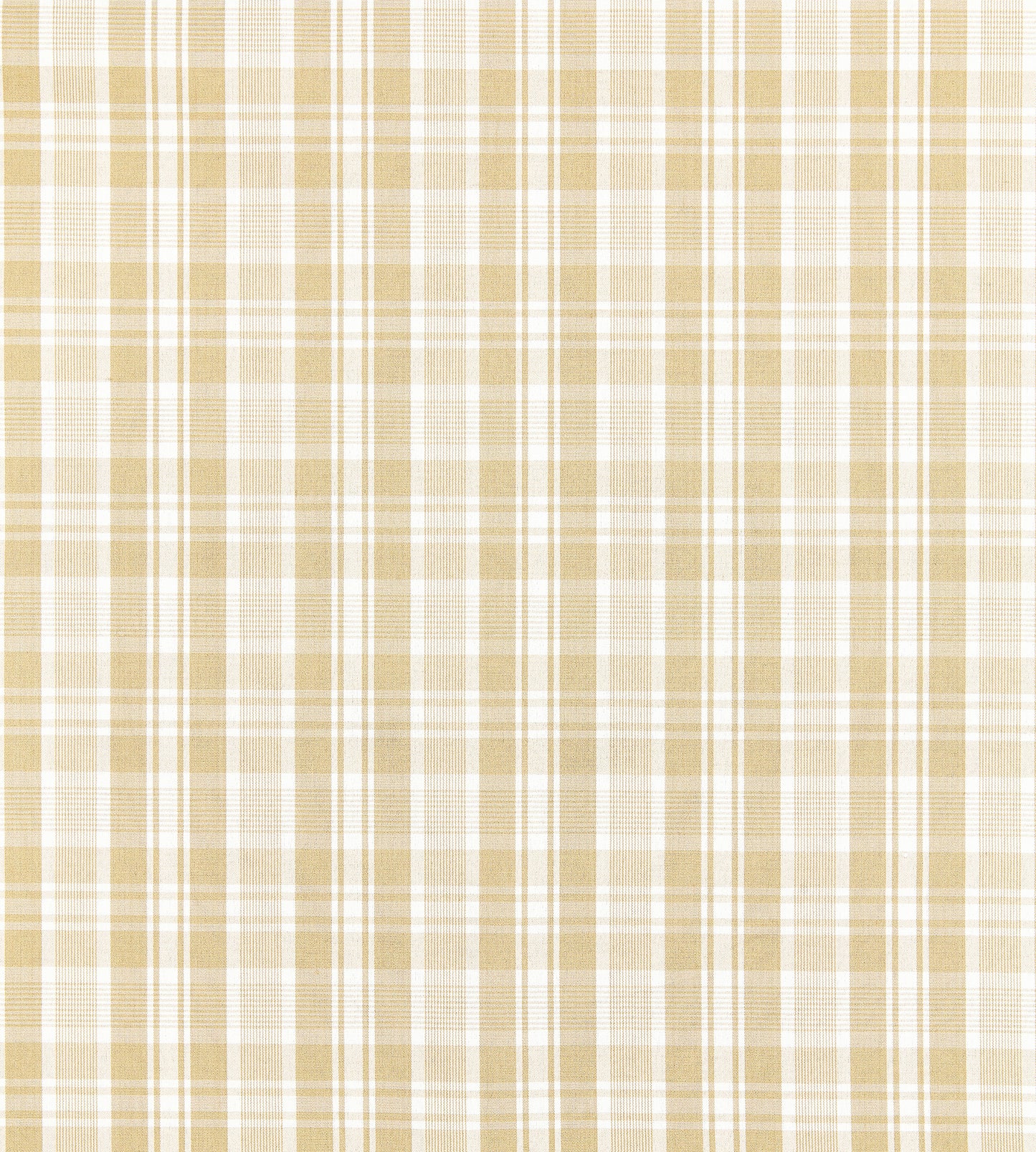 Purchase Scalamandre Fabric Product SC 000127122, Preston Cotton Plaid Camel 1
