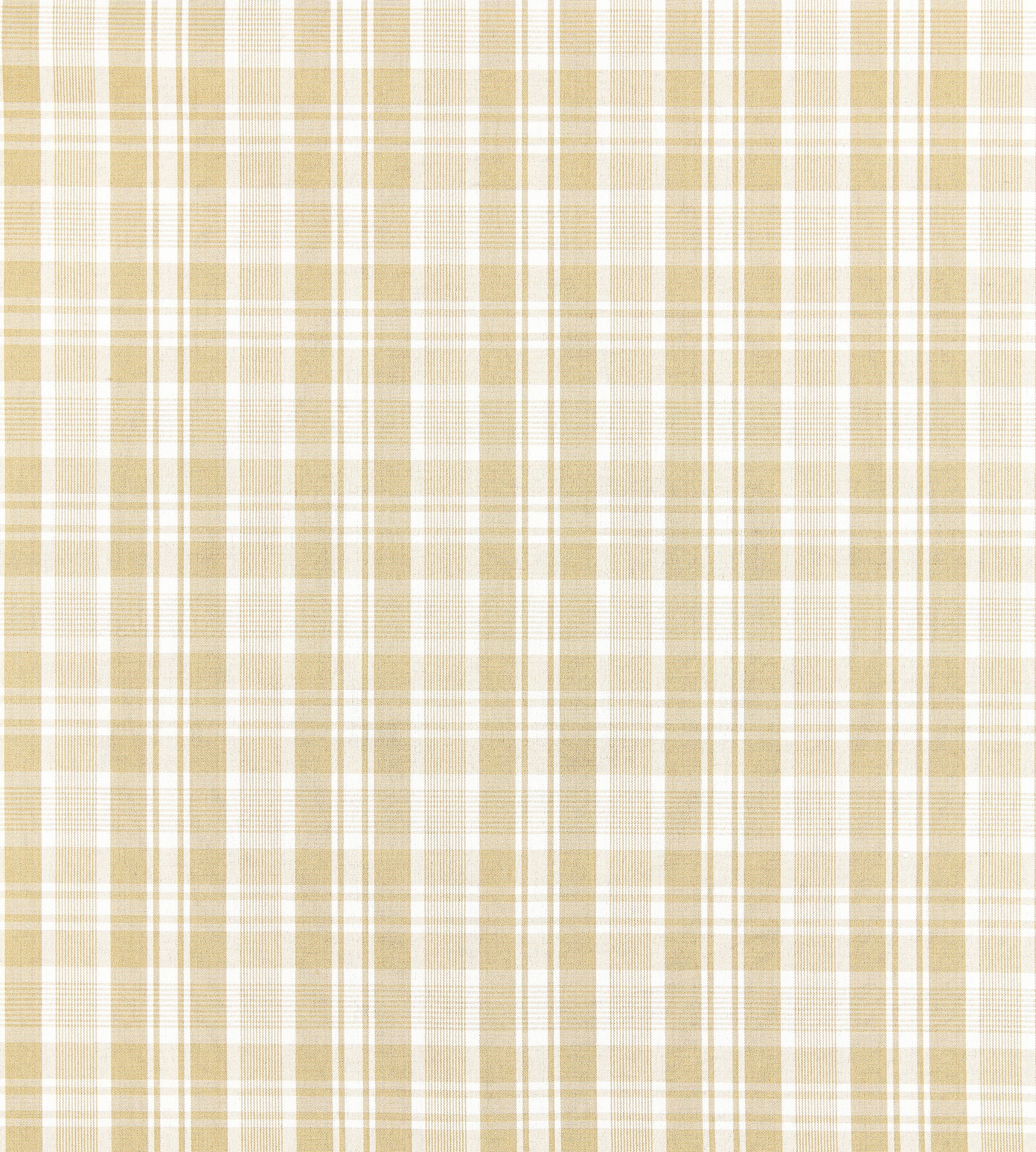 Purchase Scalamandre Fabric Product SC 000127122, Preston Cotton Plaid Camel 1