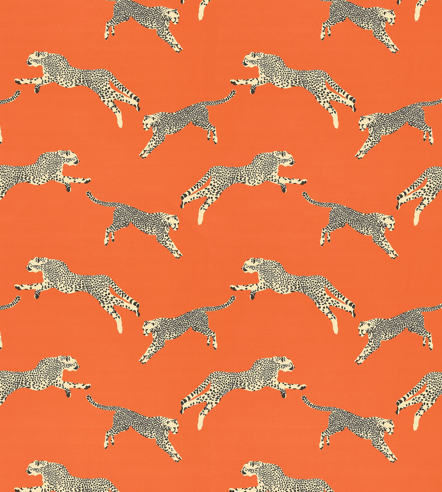 Purchase Scalamandre Fabric Product# SC 000216634, Leaping Cheetah Cotton Print Clementine 6