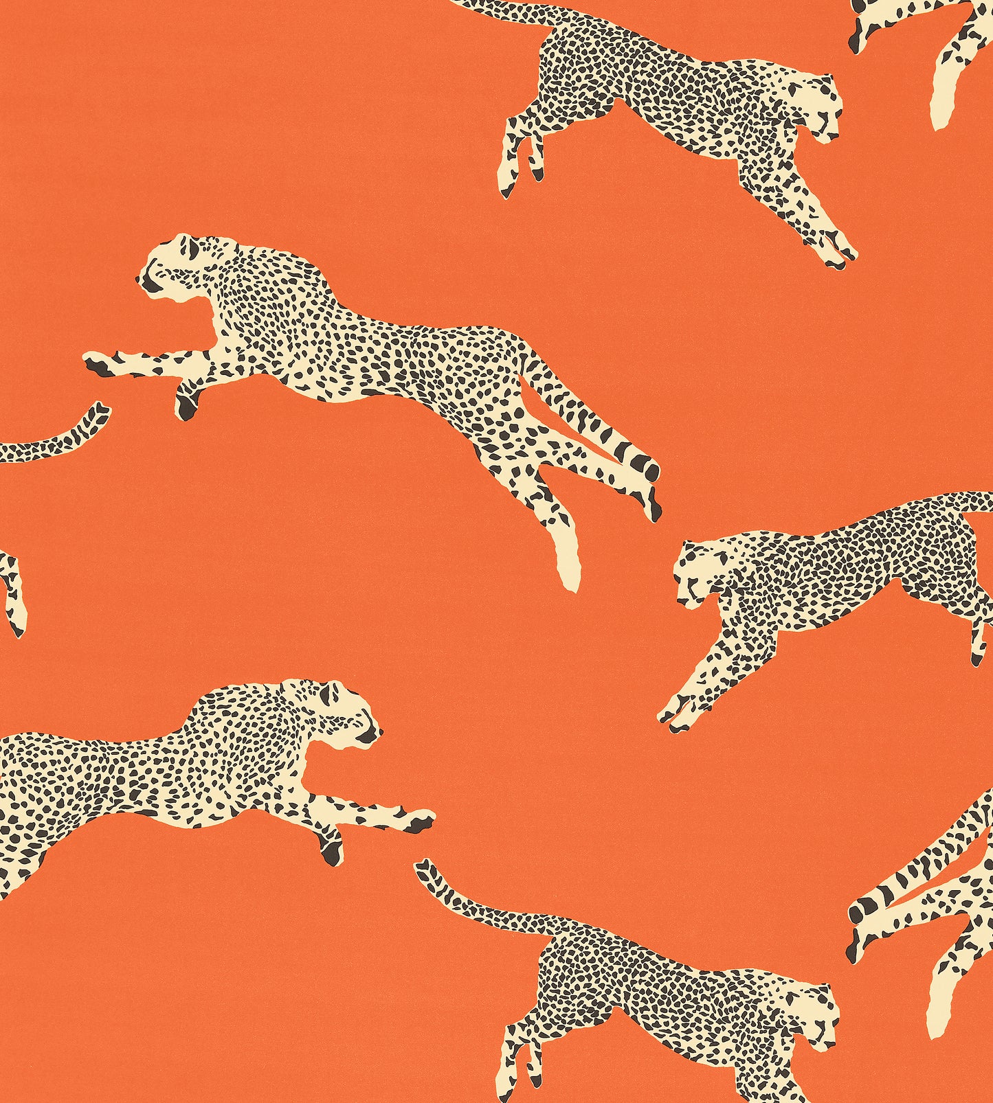 Purchase Scalamandre Fabric Product# SC 000216634, Leaping Cheetah Cotton Print Clementine 1