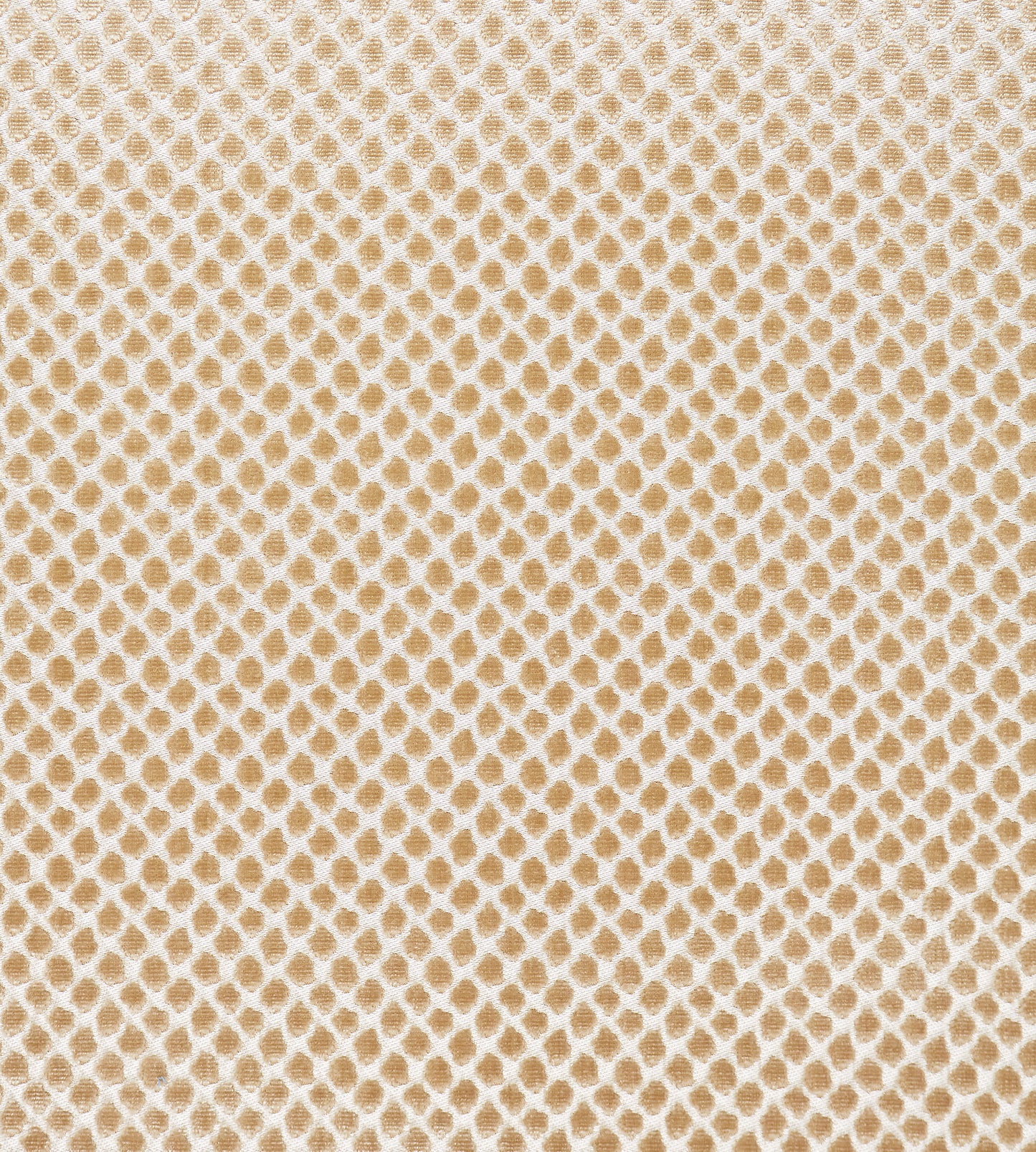 Purchase Scalamandre Fabric Product# SC 000227022, Etosha Velvet Sand 1