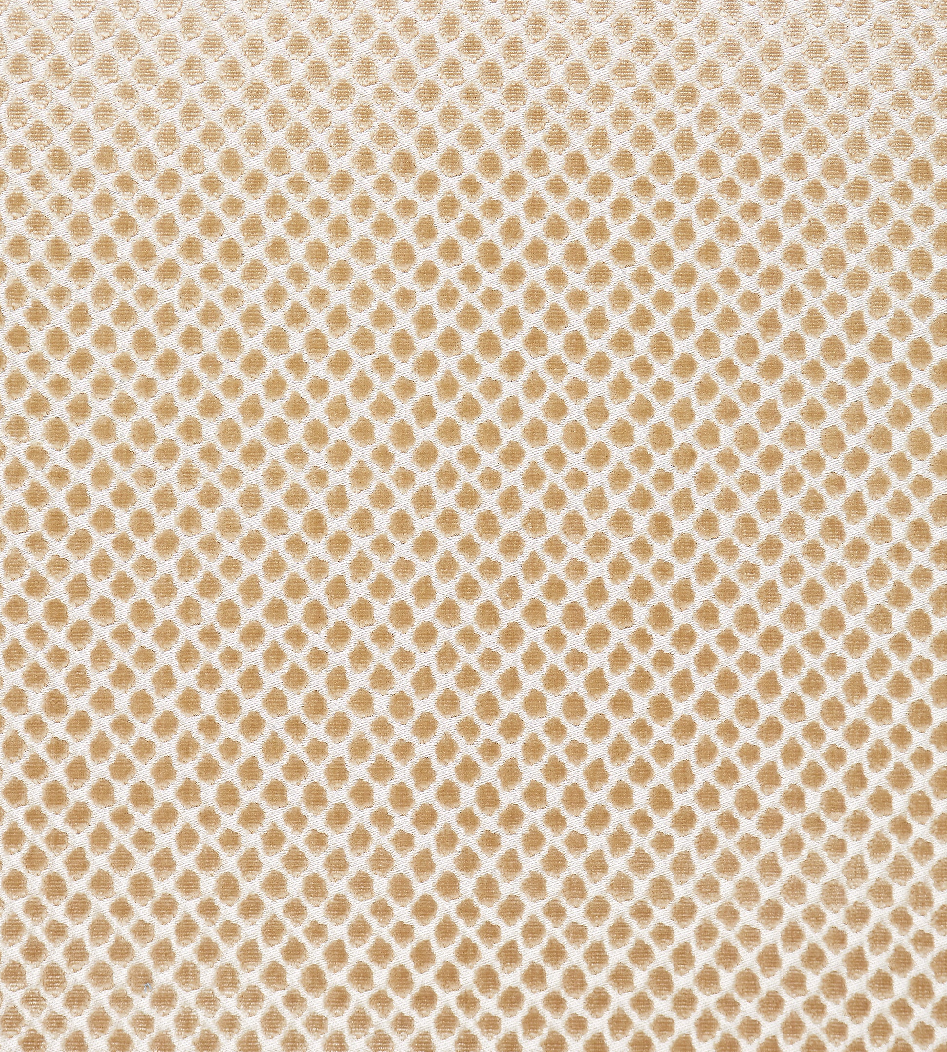 Purchase Scalamandre Fabric Product# SC 000227022, Etosha Velvet Sand 1