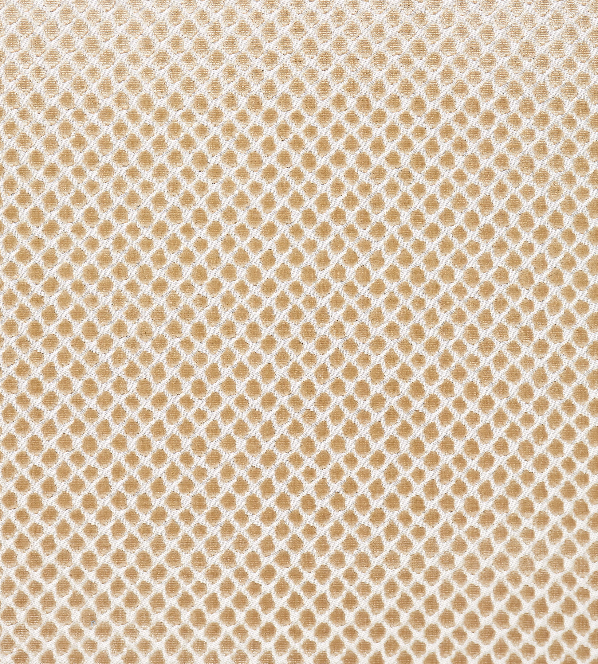 Purchase Scalamandre Fabric Product# SC 000227022, Etosha Velvet Sand 1