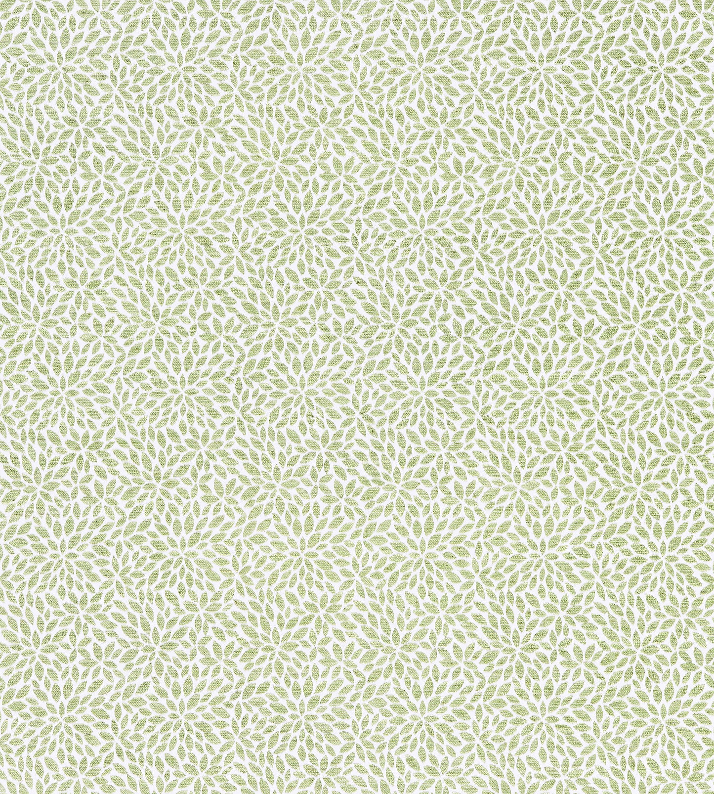 Purchase Scalamandre Fabric Pattern# SC 000227239, Risa Weave Fern 1