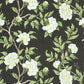 Purchase Scalamandre Fabric Product SC 000316616, Peonia Linen Print Onyx 1