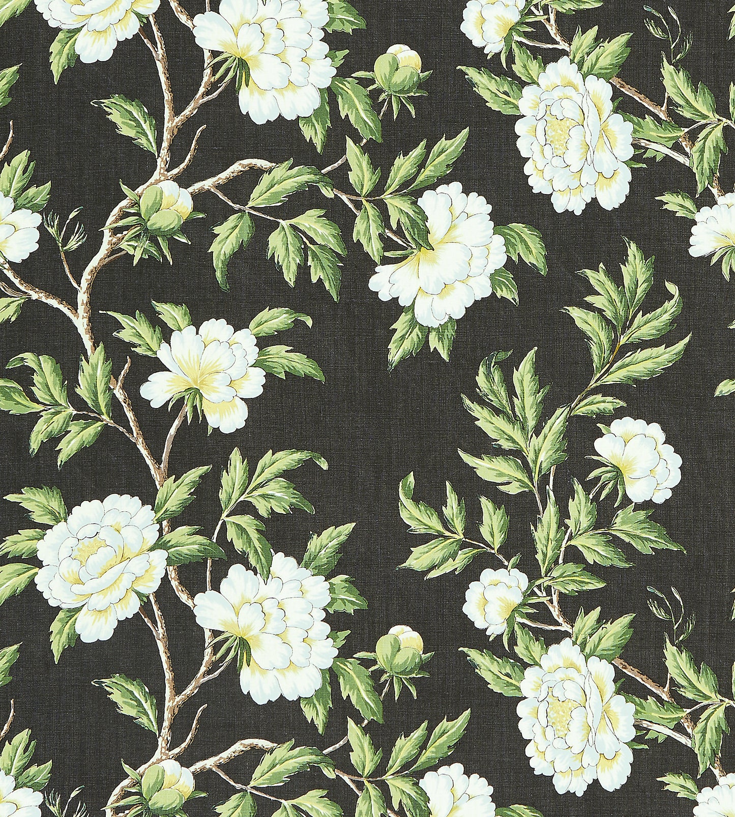 Purchase Scalamandre Fabric Product SC 000316616, Peonia Linen Print Onyx 1