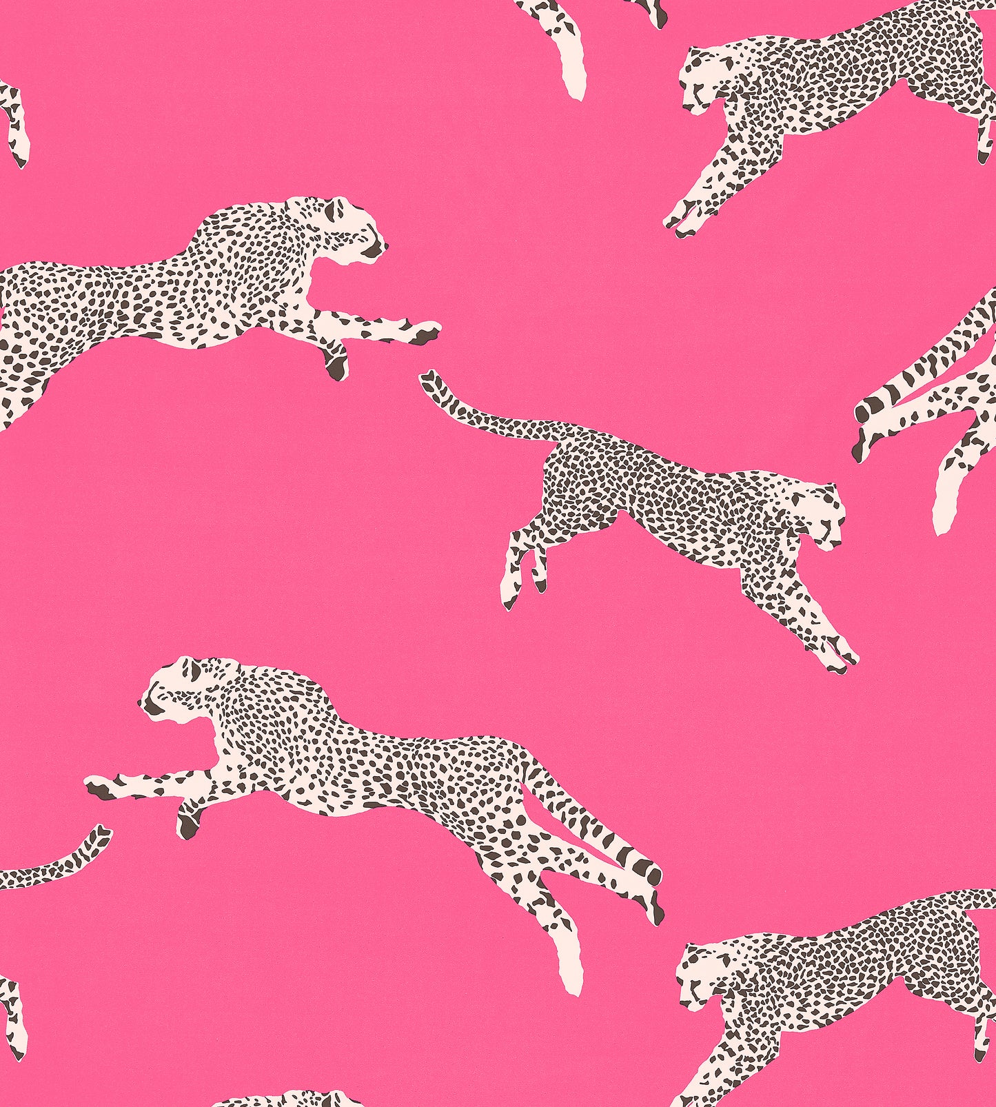 Purchase Scalamandre Fabric Pattern number SC 000316634, Leaping Cheetah Cotton Print Bubblegum 2