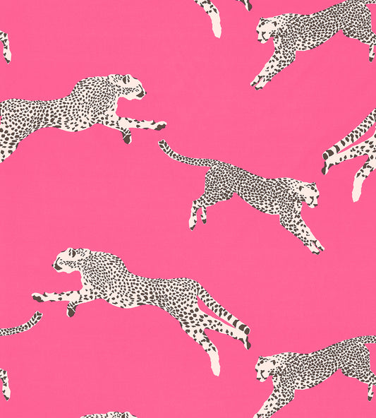Purchase Scalamandre Fabric Pattern number SC 000316634, Leaping Cheetah Cotton Print Bubblegum 2