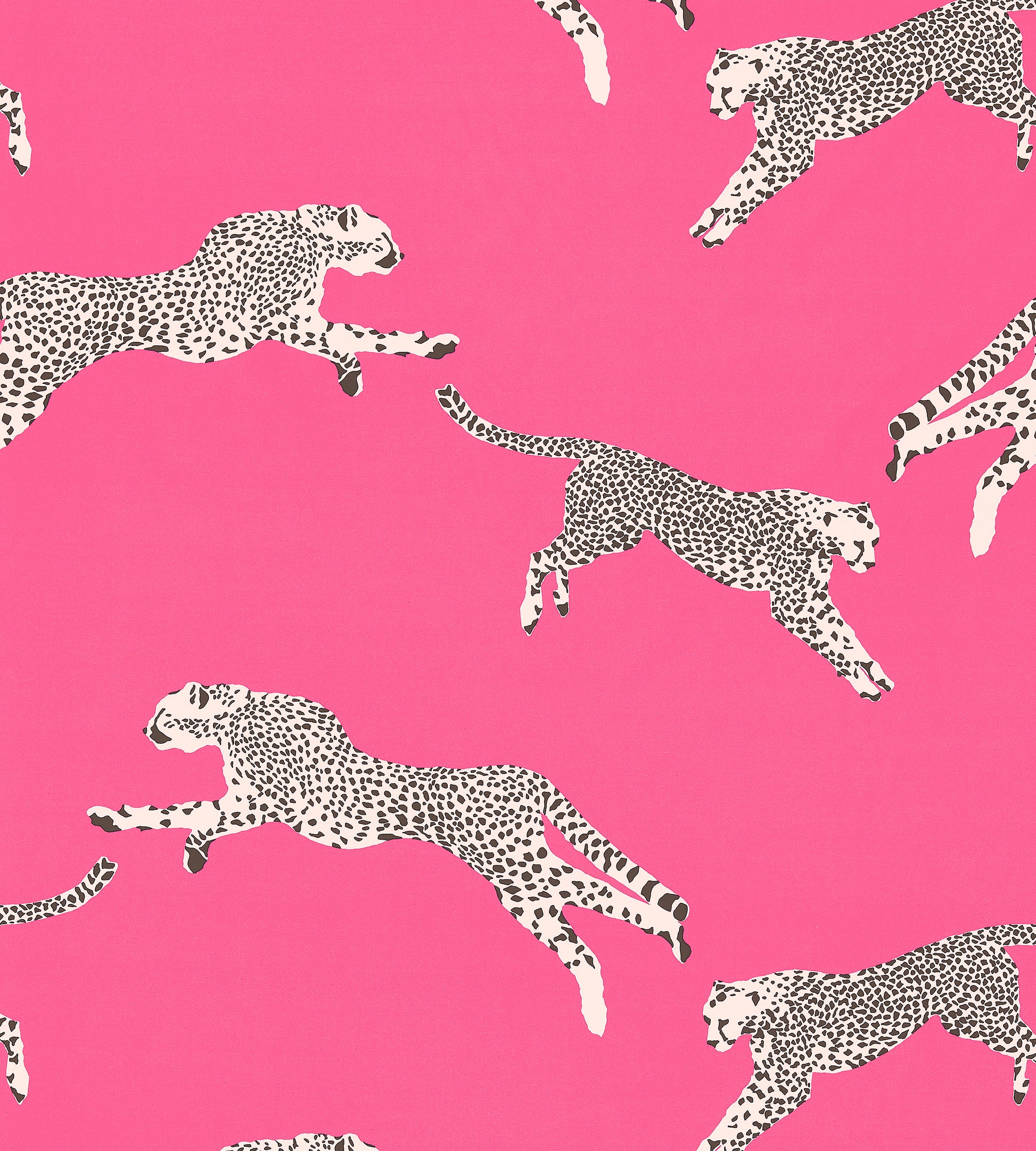 Purchase Scalamandre Fabric Pattern number SC 000316634, Leaping Cheetah Cotton Print Bubblegum 1